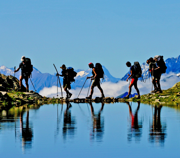 NOVAP : Tendances tarifaires